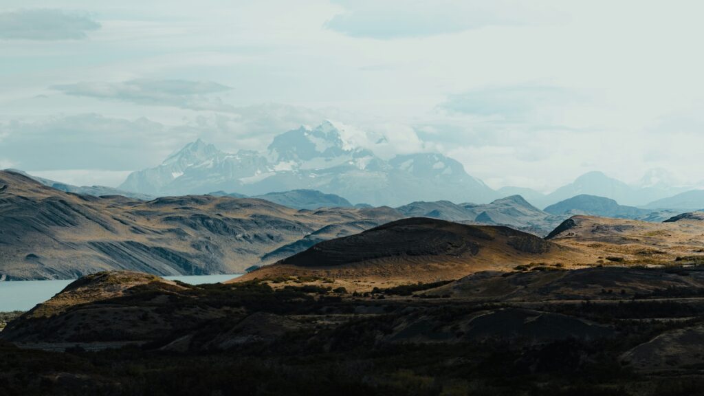 michiel-annaert-nJuYk0DvMUY-unsplash