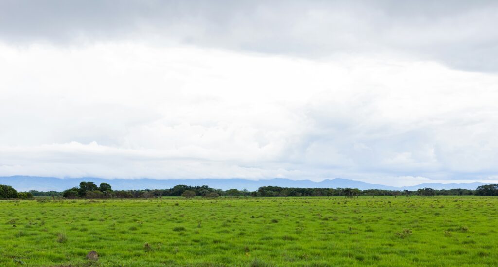 rafael-molano-alvarez-85g-WQFagjY-unsplash