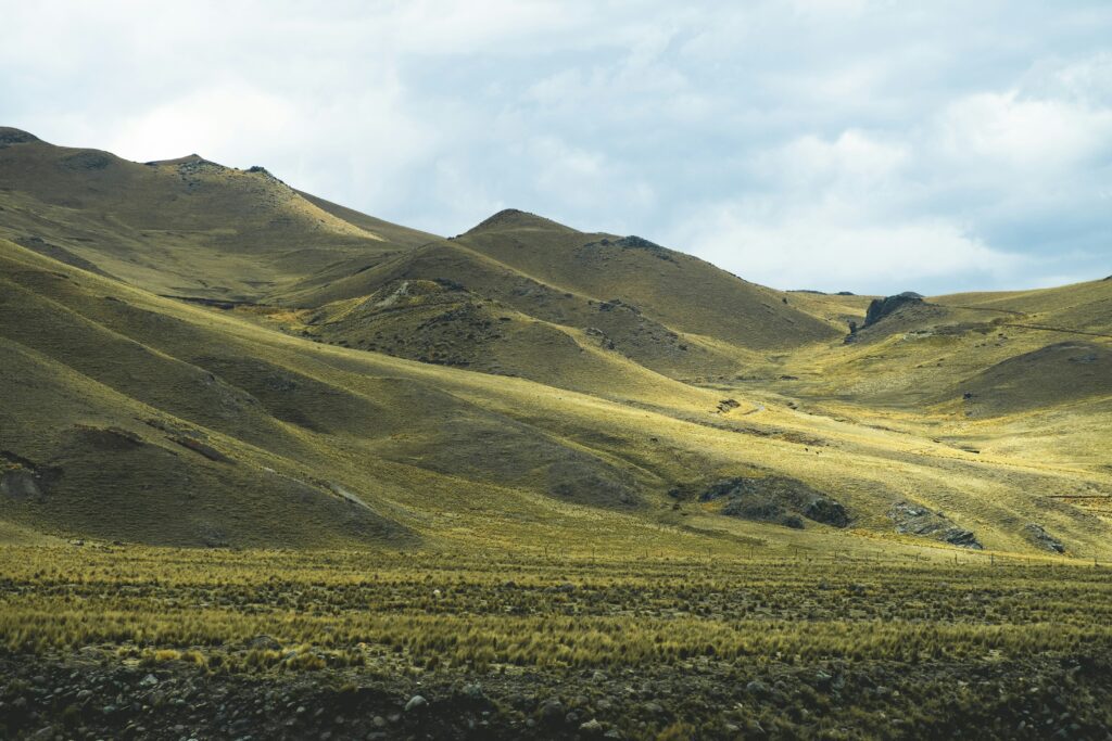 sander-lenaerts-5kyZaG4J_oY-unsplash
