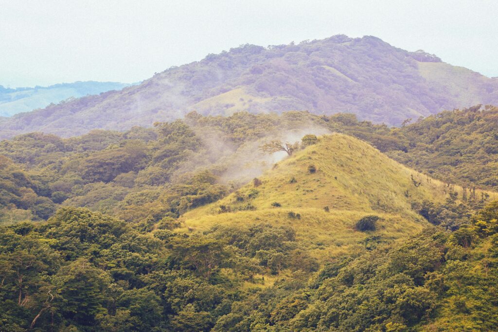 ylona-maria-rybka-CZLAlYAPdVE-unsplash