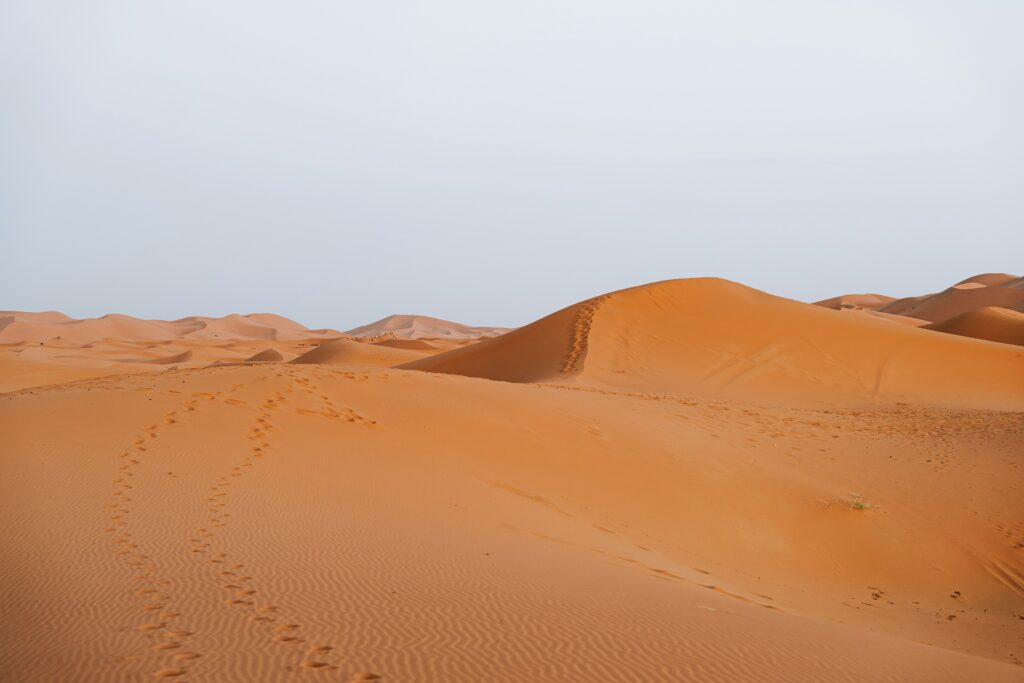ahmed-YdMmZC7K3H0-unsplash
