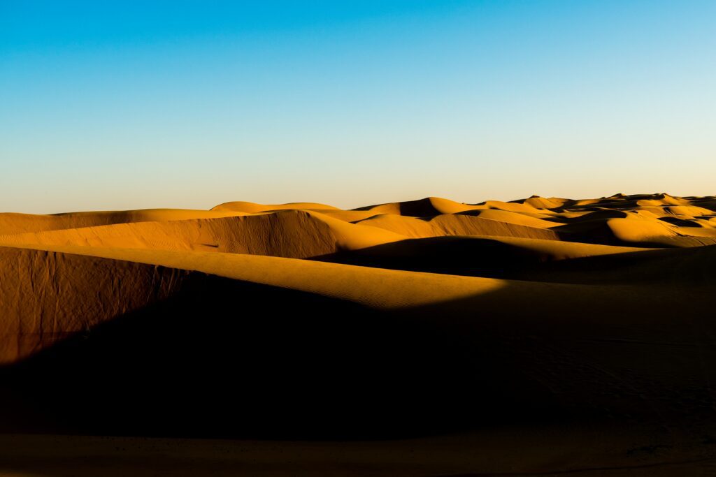 daniele-levis-pelusi-u1PsUccMa5g-unsplash