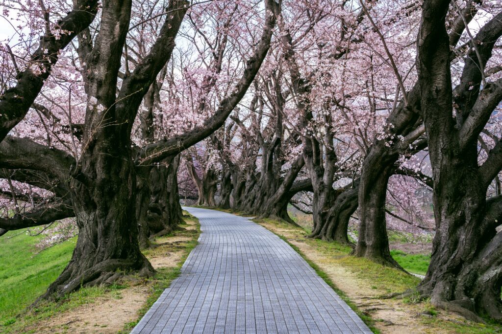 getty-images-ICZnZbdA4fw-unsplash (1)