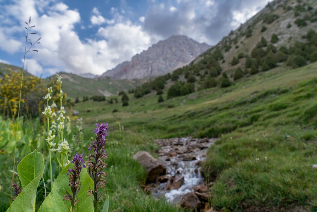 hendrik-morkel-atKn2LWaocs-unsplash