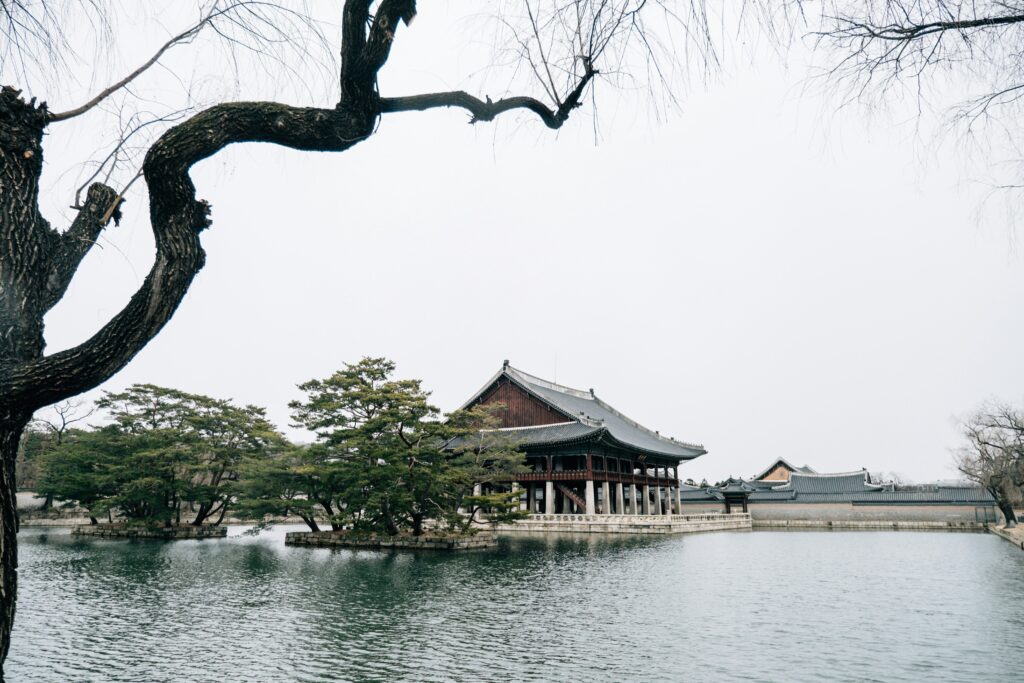insung-yoon-tnlpTQ0RwX0-unsplash