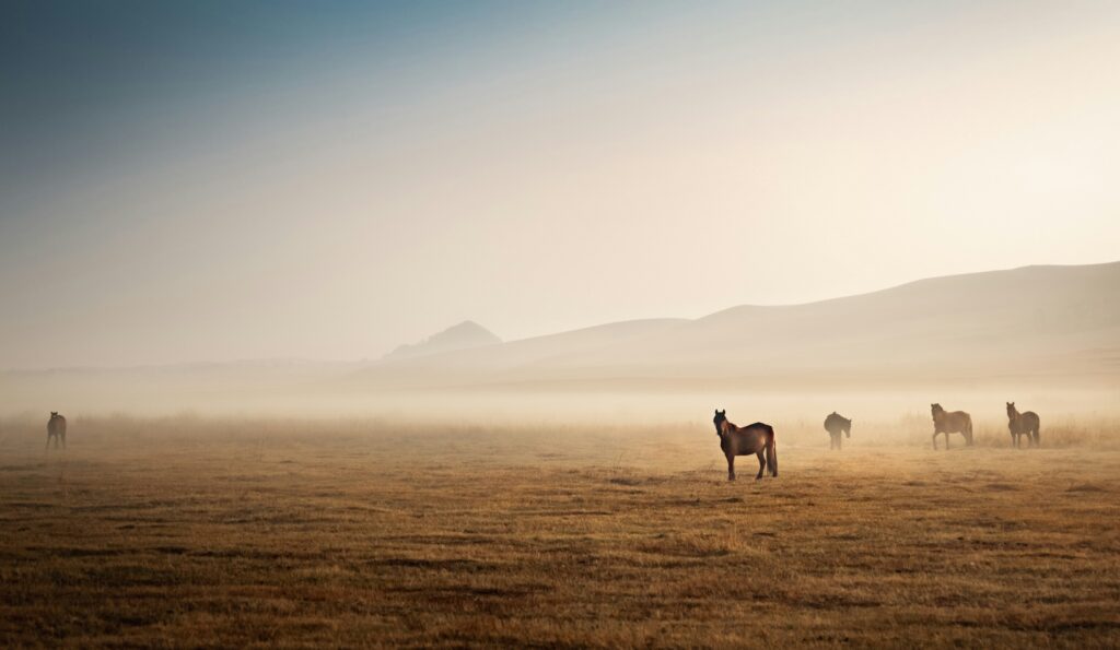 joseph-daniel-7FprFl6VIu8-unsplash