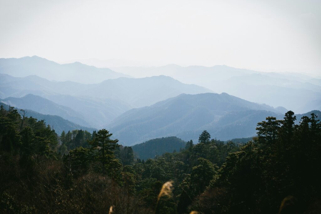 karsten-gohm-ZLB1pWtnERA-unsplash