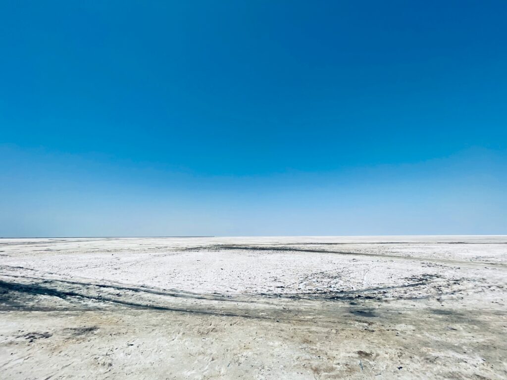 krunal-lakhatariya-t9FrUnGogPY-unsplash