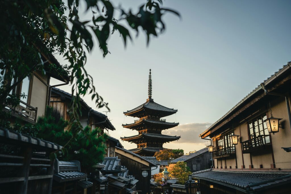 leo-bayard-RvFpCWrMuts-unsplash