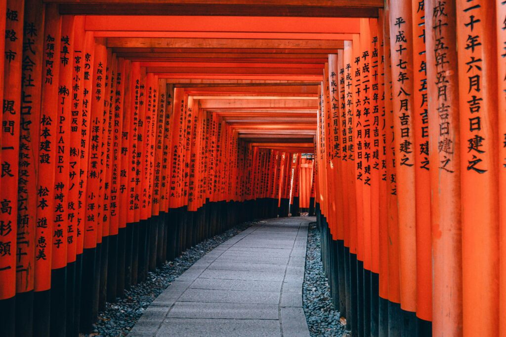 lin-mei-NYyCqdBOKwc-unsplash (1)