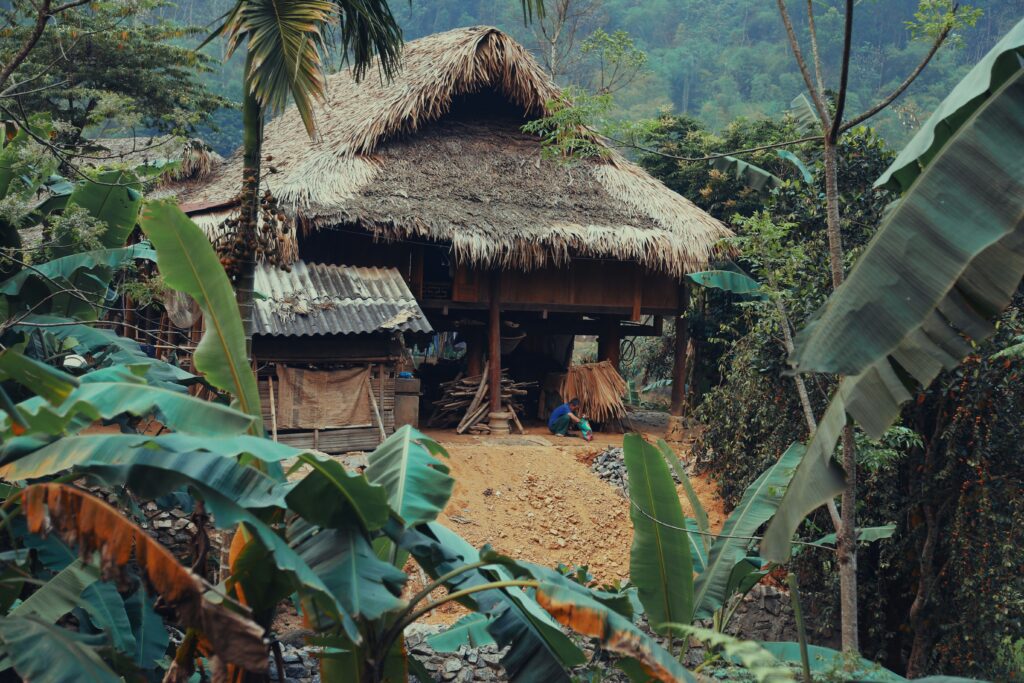 minh-triet-jCEF7GEUy2I-unsplash