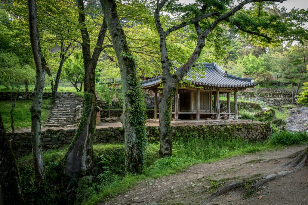 sung-jin-cho-iCNMWUxhztY-unsplash