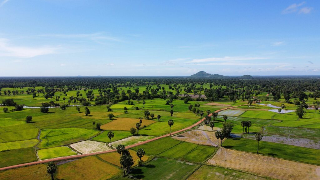 tithsamnang-khorn-wVQI_TVrZN4-unsplash