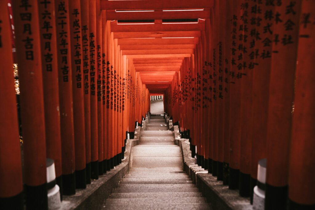 tom-chen-b3dyh1MBQ5U-unsplash
