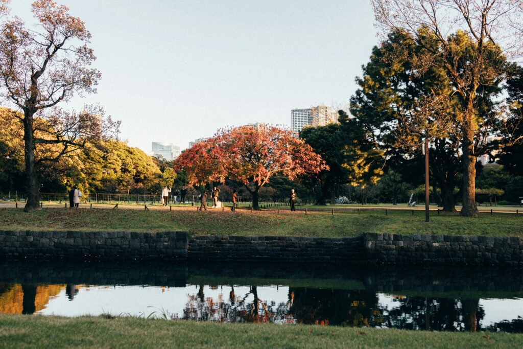 tsuyoshi-kozu-_yXAVUKHB1U-unsplash