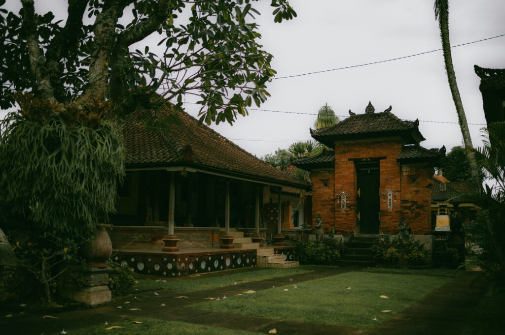 aryana-cory-bkovauo4SiI-unsplash
