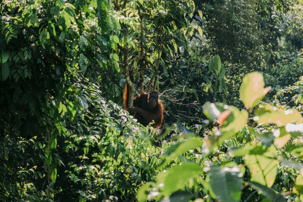 colin-meg-zeoppg1FjuA-unsplash