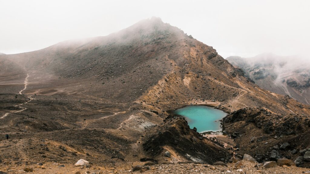 daniel-chen-7AXs5xECocU-unsplash