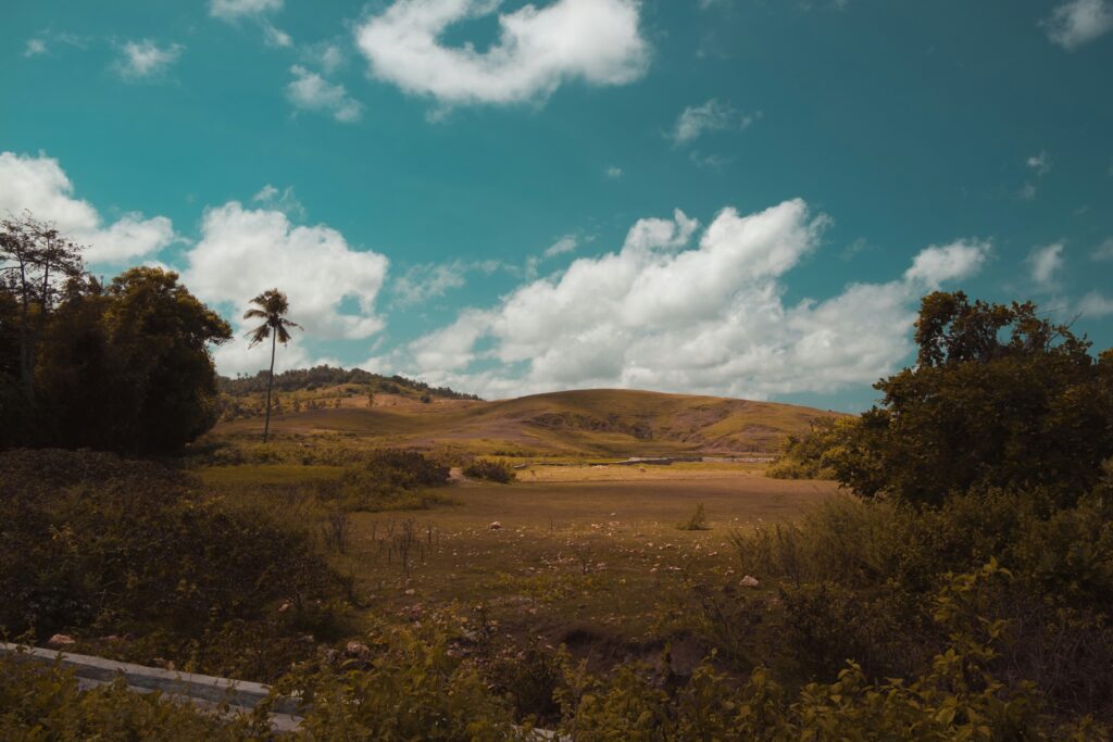 fadhil-abhimantra-owaN50W6tS4-unsplash