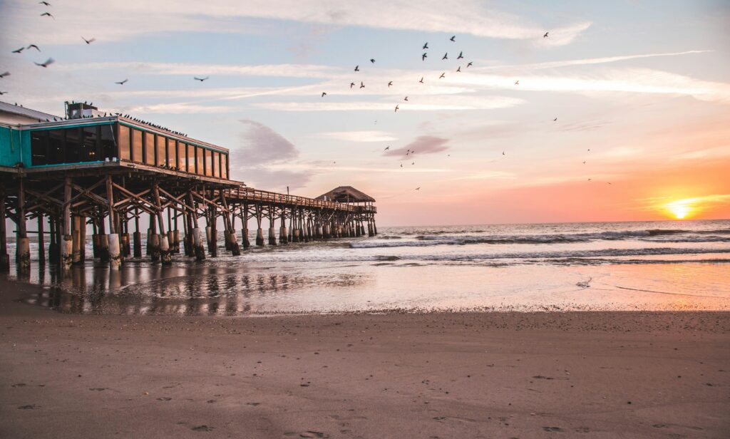 florian-schneider--QCIBkeW-pQ-unsplash