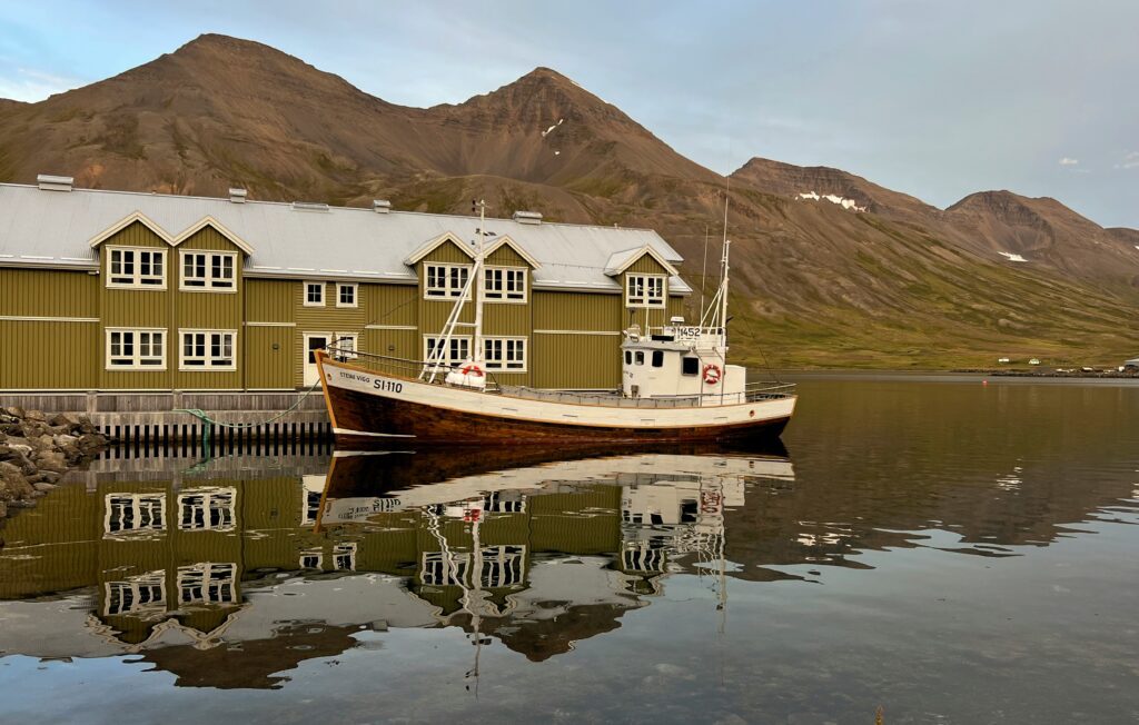 freysteinn-g-jonsson-XDSKoTj4Hto-unsplash