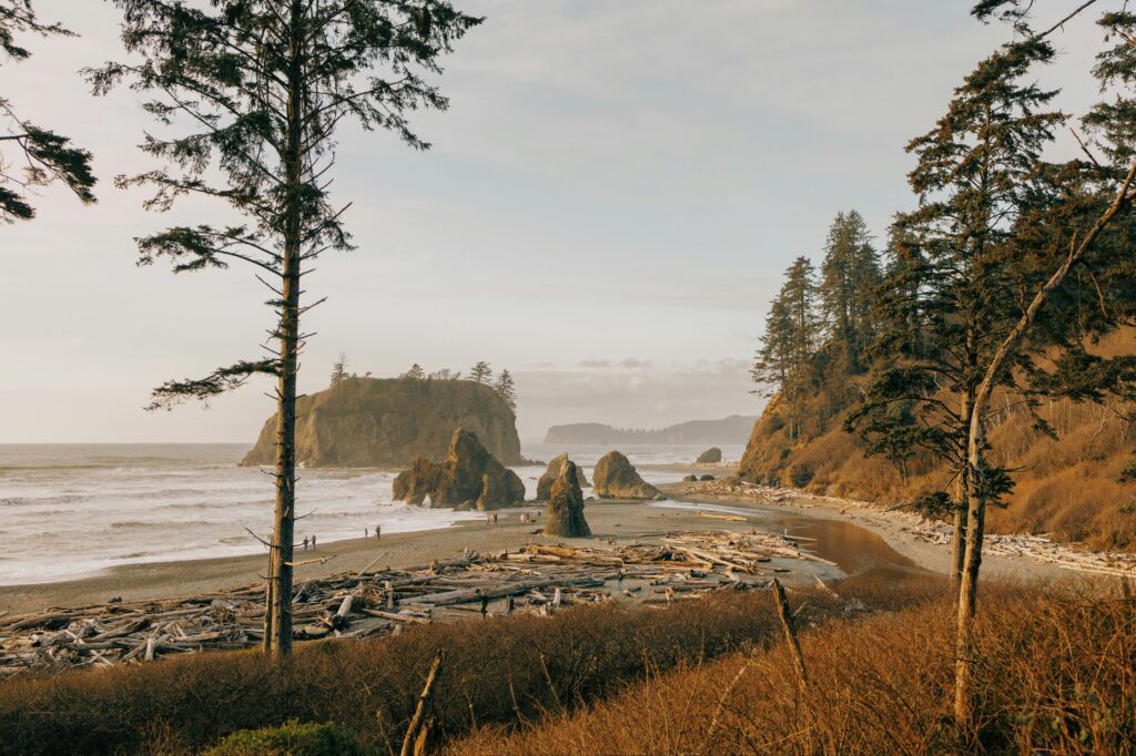 hans-RCBXgmKQAzI-unsplash
