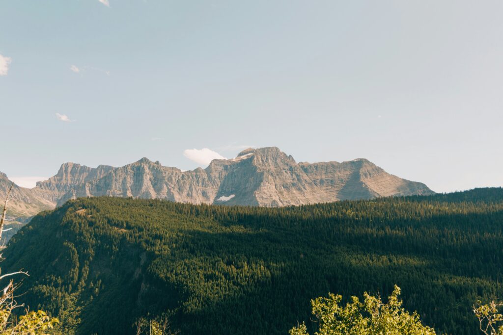 hans-s8JbULbSokA-unsplash