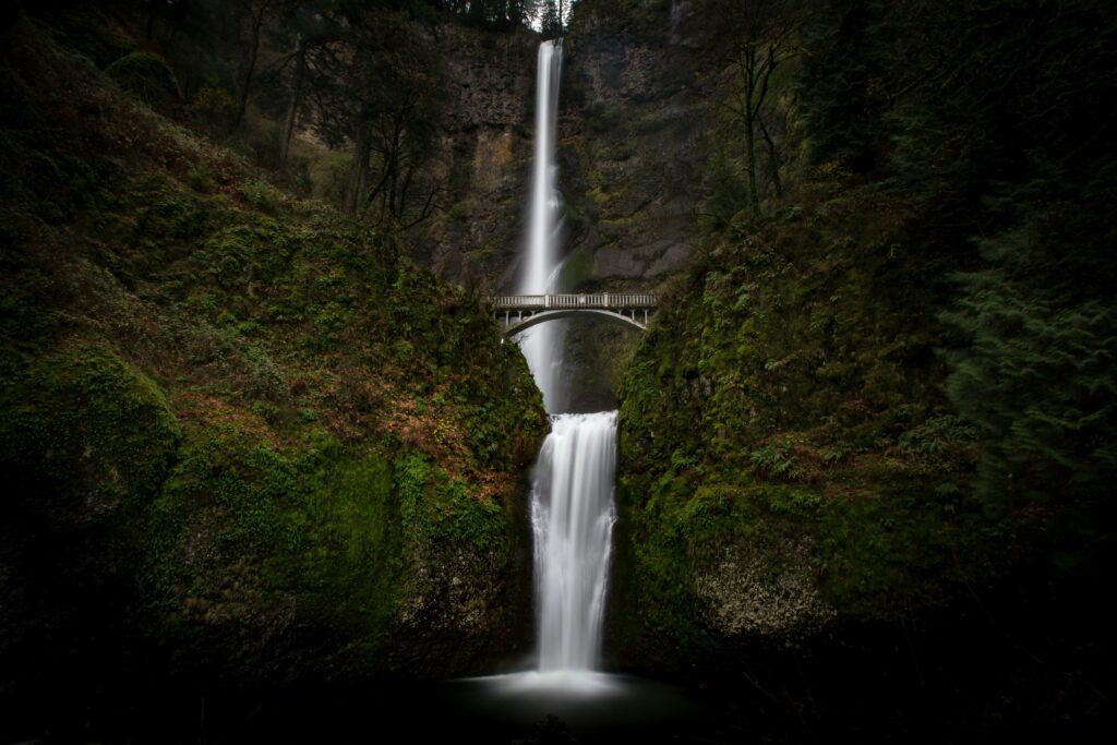 leo_visions-dS6zxCGpchw-unsplash