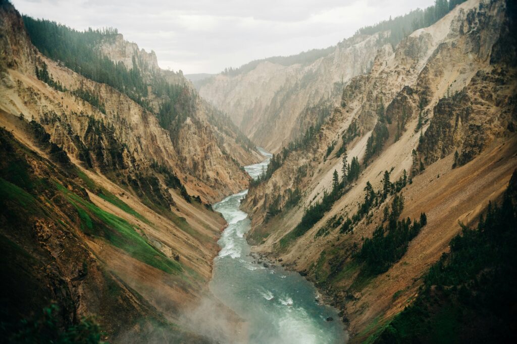 natalie-behn-n-ZMmHYdfJY-unsplash