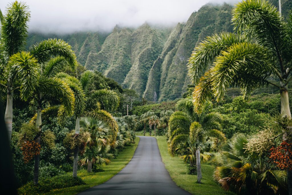 peter-thomas-TRAYV5rsA9Y-unsplash