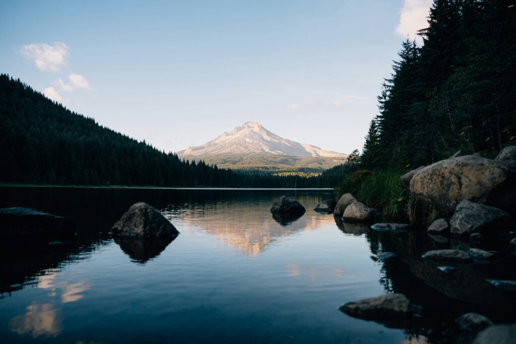peter-thomas--nHECE_Gv-w-unsplash
