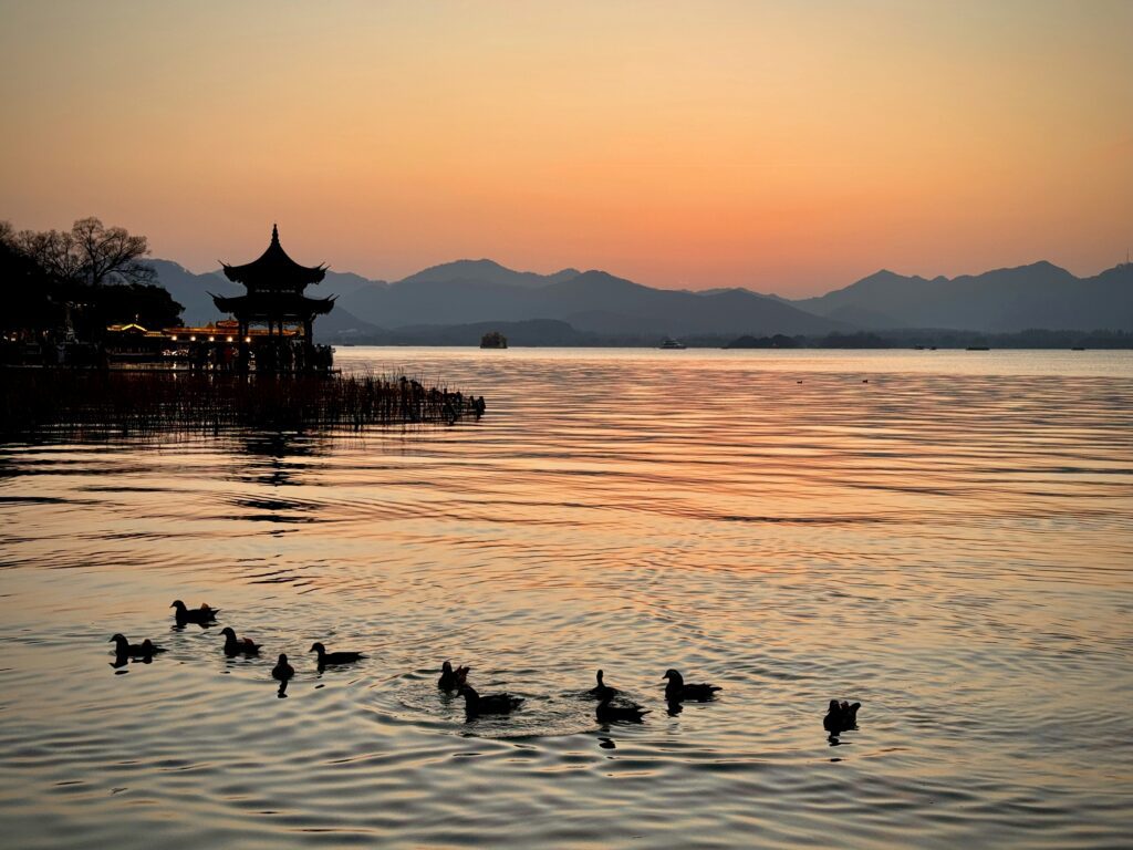 steven-chen-MWXLXkjFPQM-unsplash