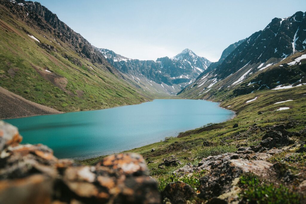 taylor-murphy-H201HpGgzs8-unsplash