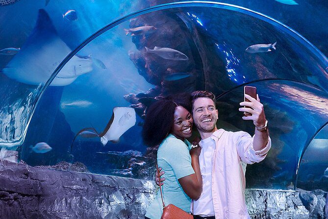 Un couple se prenant en photo devant des raies manta dans un aquarium