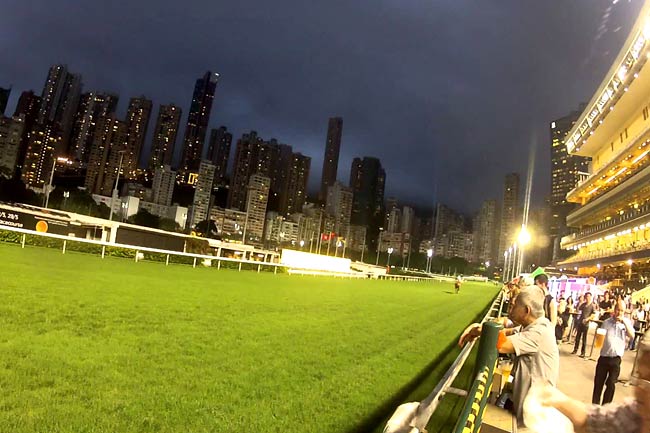 Photo de nuit de l'hippodrome de Happy Valley.
