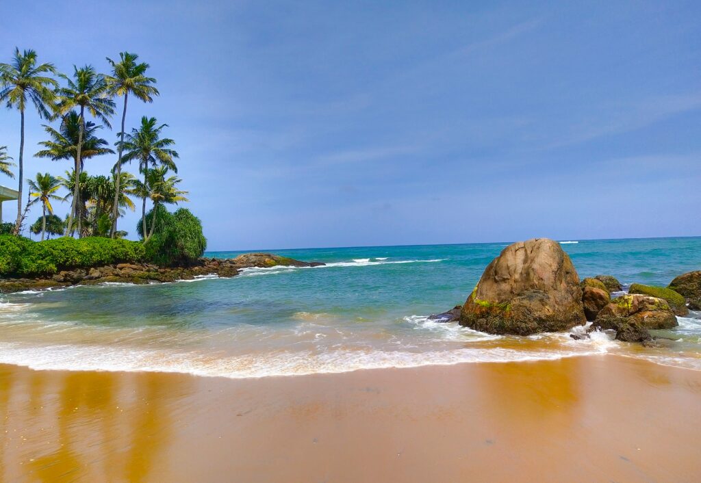 plage avec un rocher et des arbres