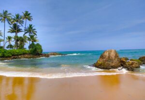 plage avec un rocher et des arbres