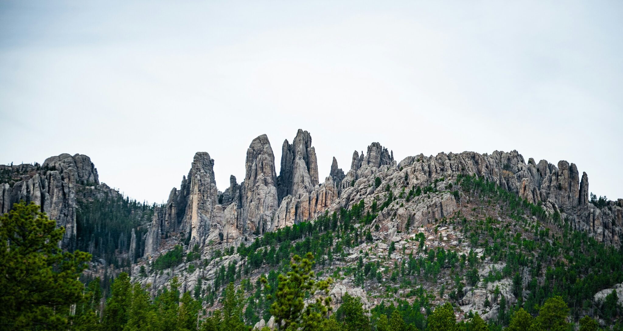 Vue horizontale du parc d'état Custer Spur avec un ciel bleu.
