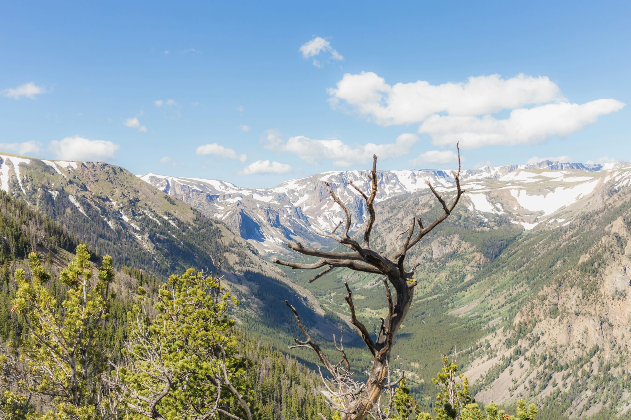 Vue de Beartooth Highway