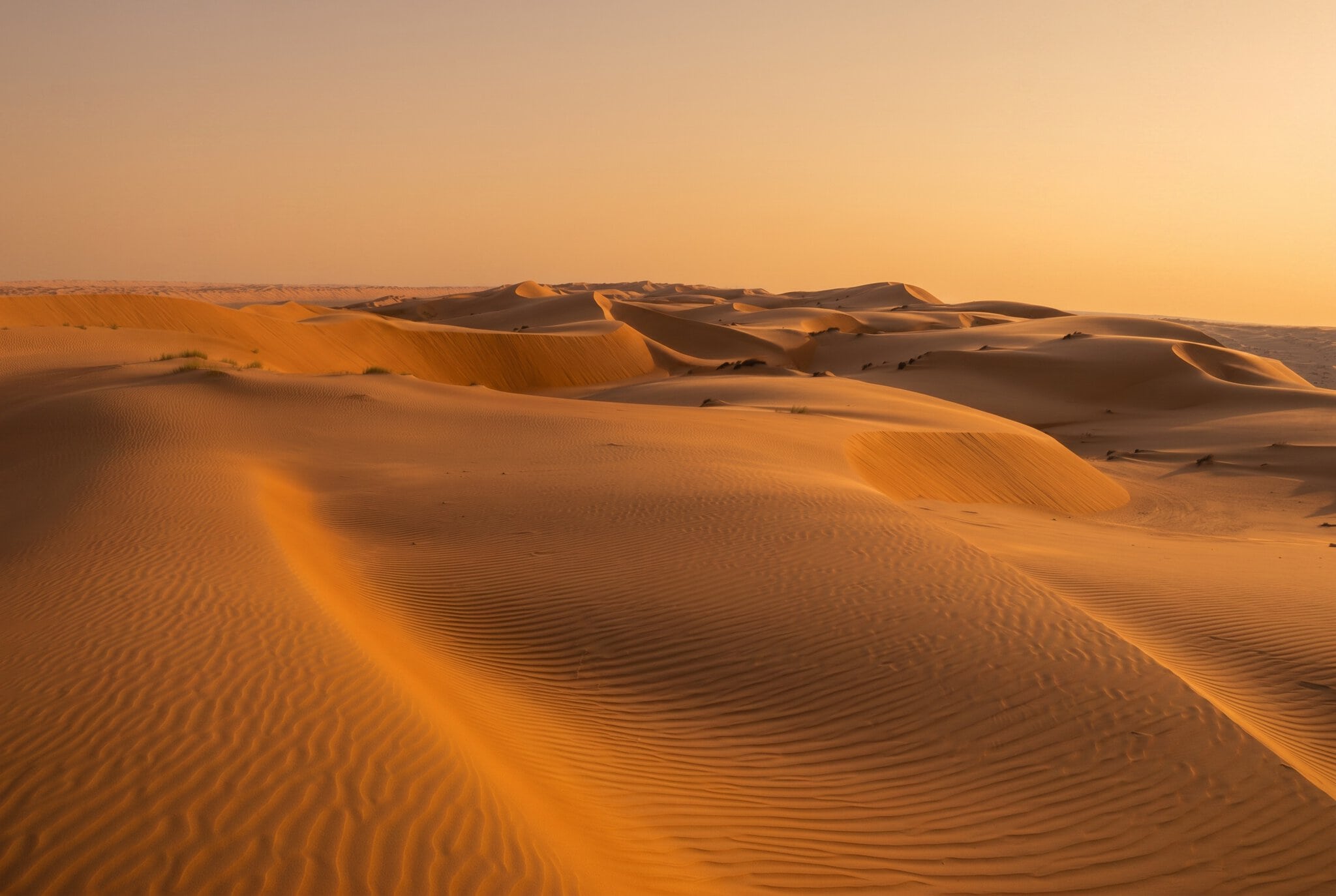 Dunes de sables à perte de vue