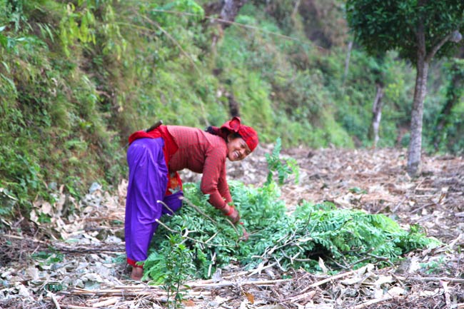 Photo de olmaya, jeune femme habitant le village, au travail.