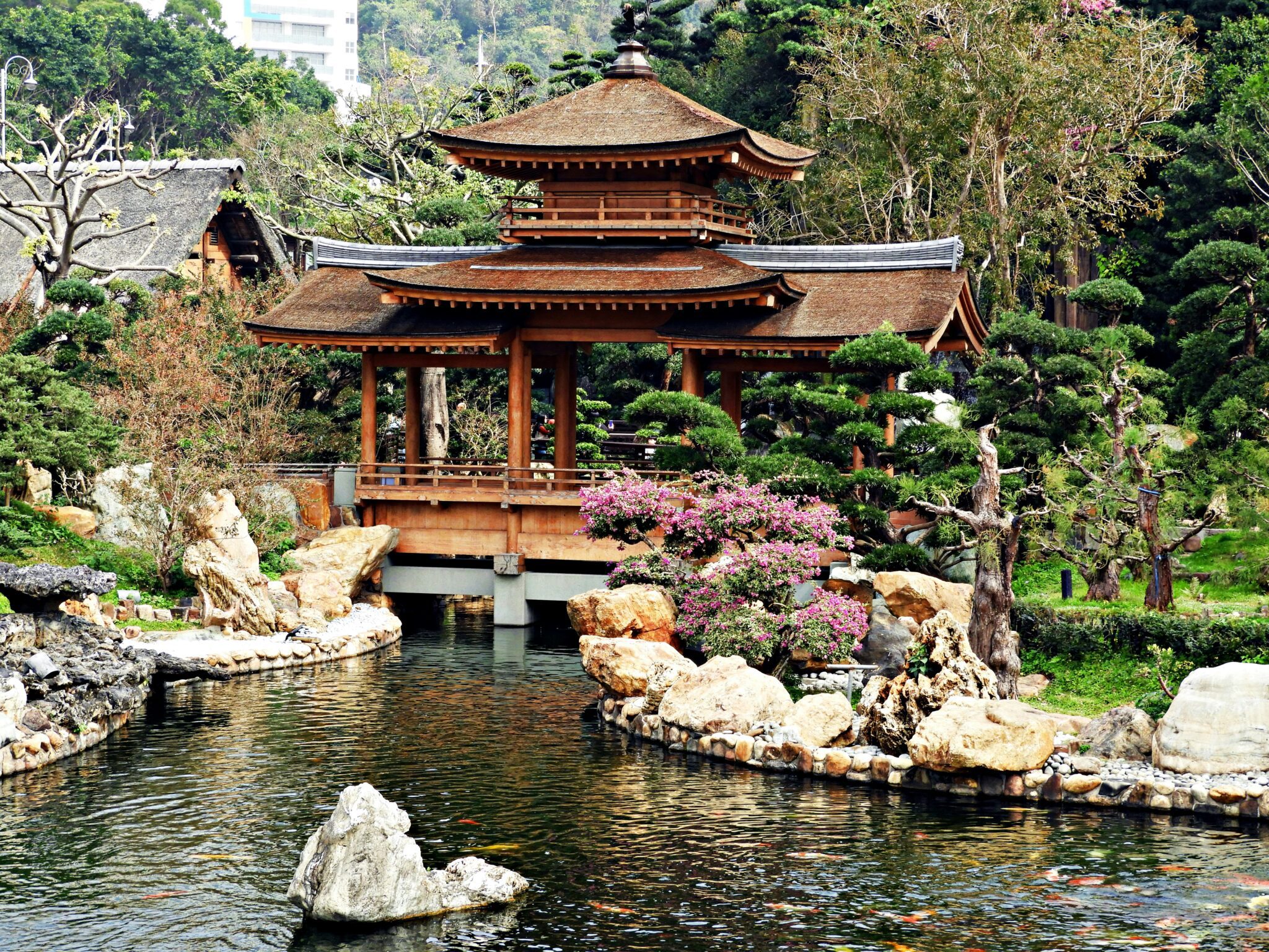 Les jardins de Nan Lian, avec un ruisseau et de la végétation tout autour.