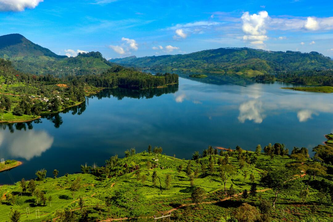 lac entouré de verdure avec un grand ciel bleu
