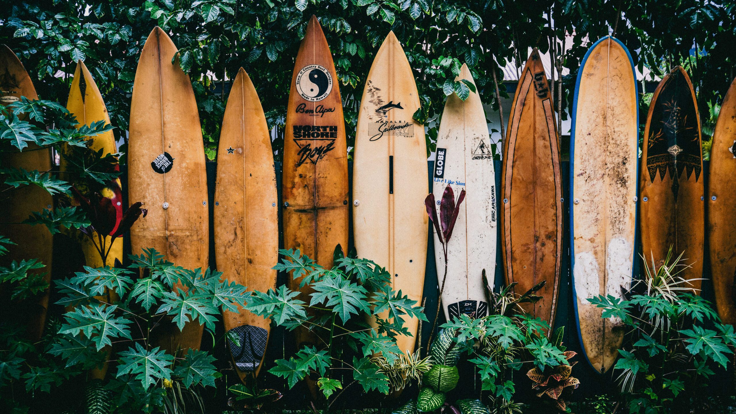 Hanalei_Bay_Hawaii