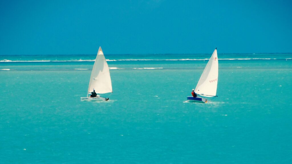 2 violiers sur l'ocean au brésil