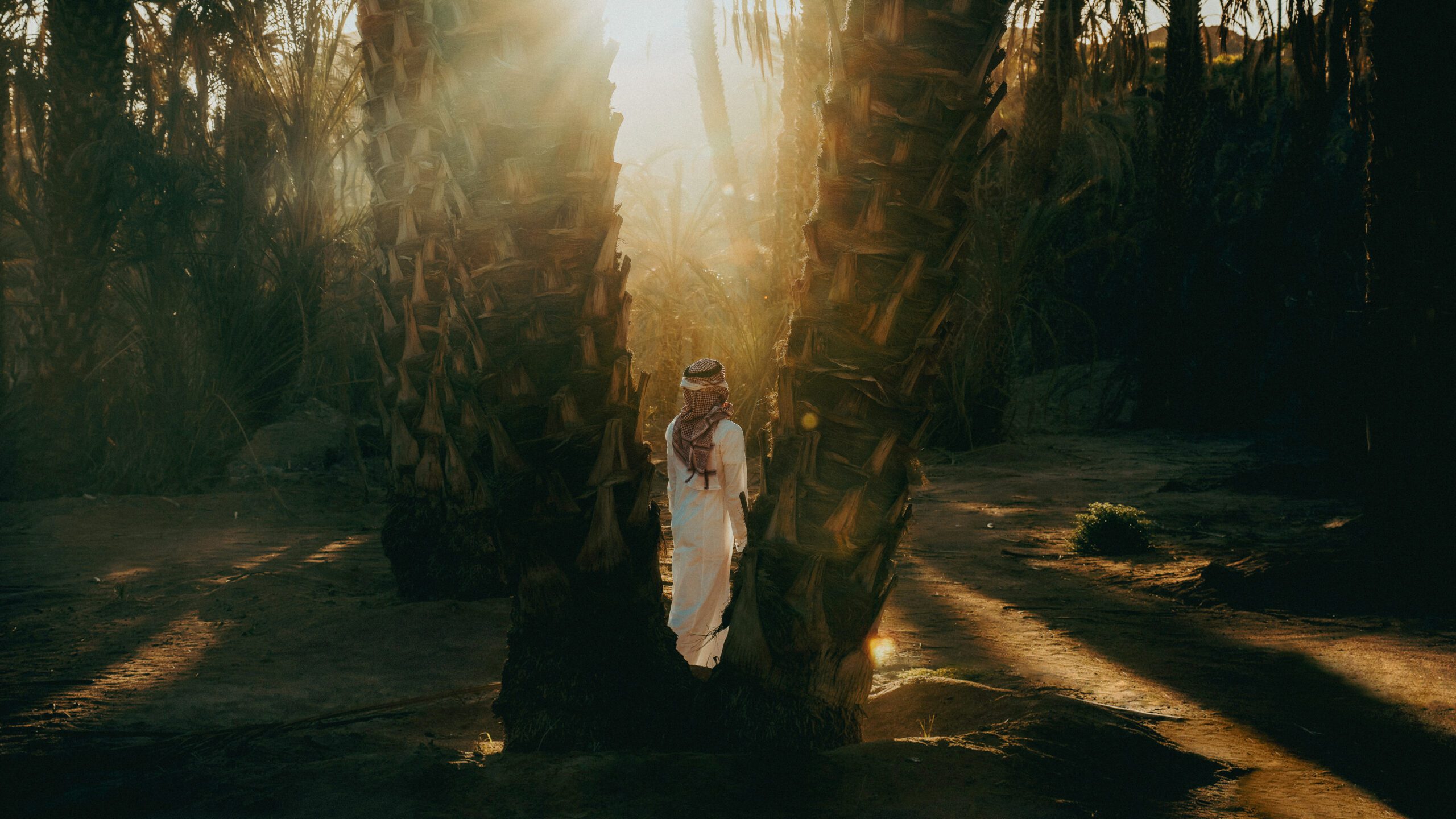 arabie saoudite Sharma - NEOM, Saudi Arabia