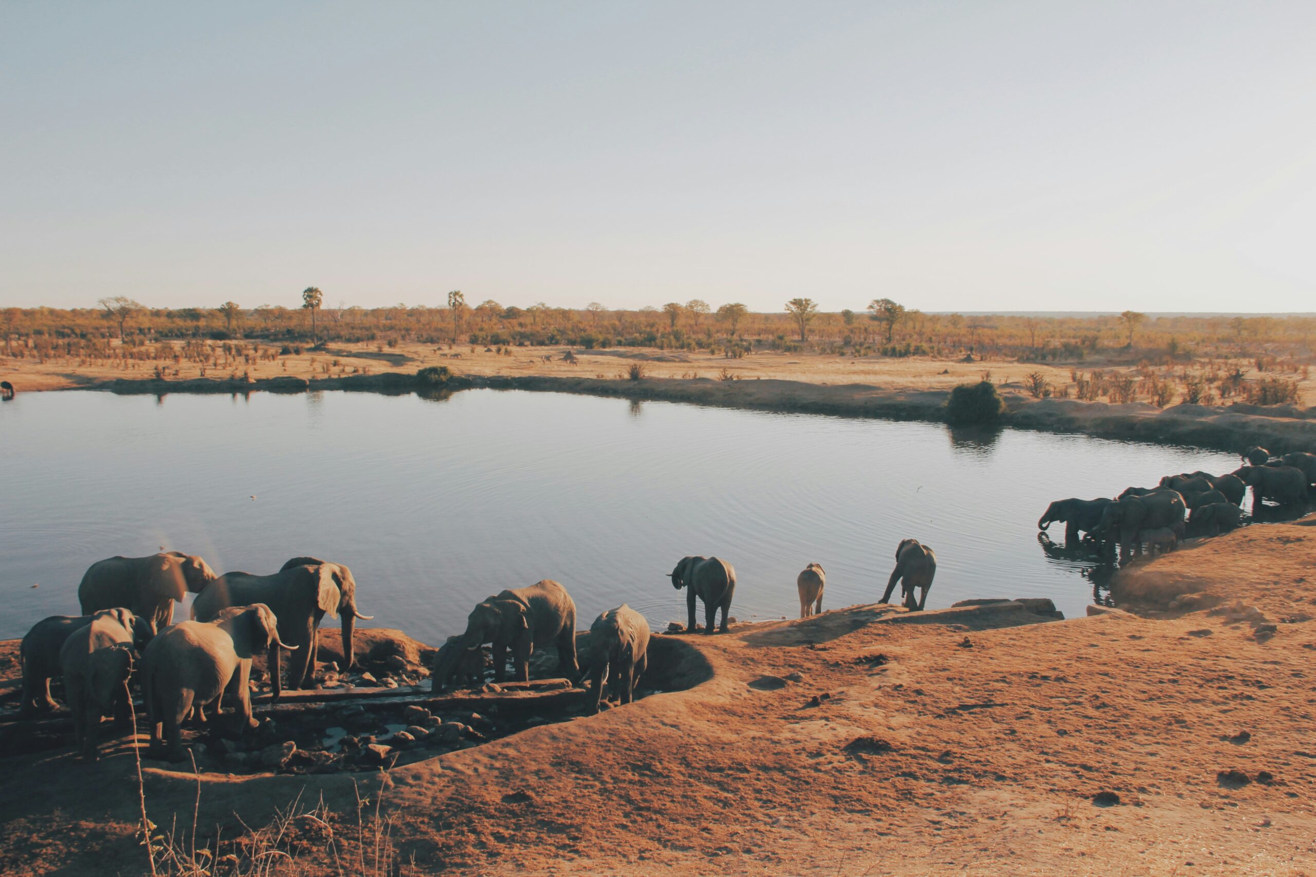 Plaine sèche et lac au Zimbabwe, avec des animaux autour.