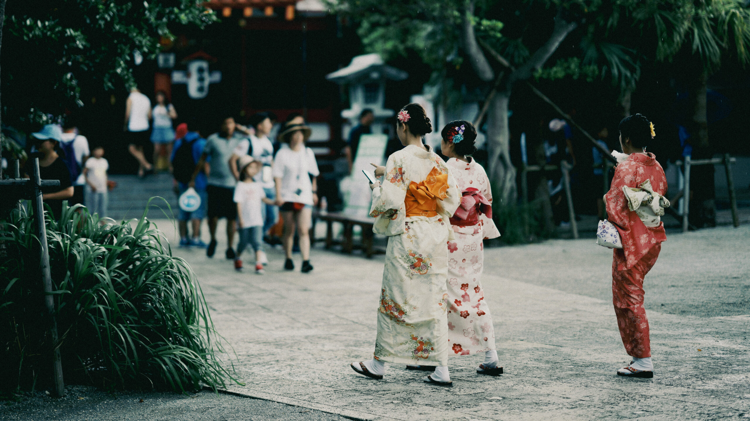japon okinawa japon