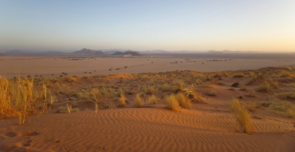 Désert Namib en vue panoramique.