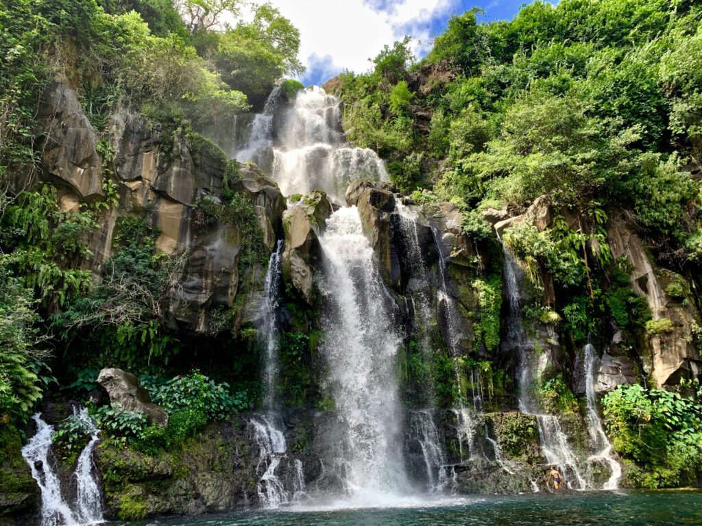 Cascade d'eau entourée de verdures à La Réunion.